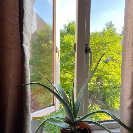 Cozy Private Room For Single Use Лондон Екстериор снимка